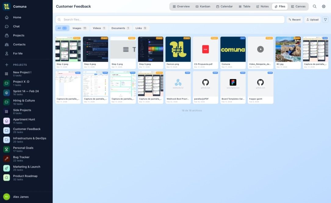 Vista dei file allegati di Comuna con anteprime e download